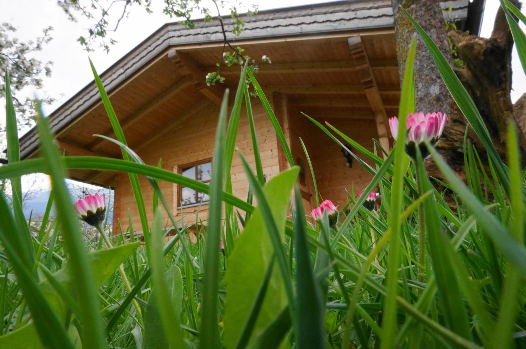 Ferienhaus Mandlhof Weer Екстериор снимка