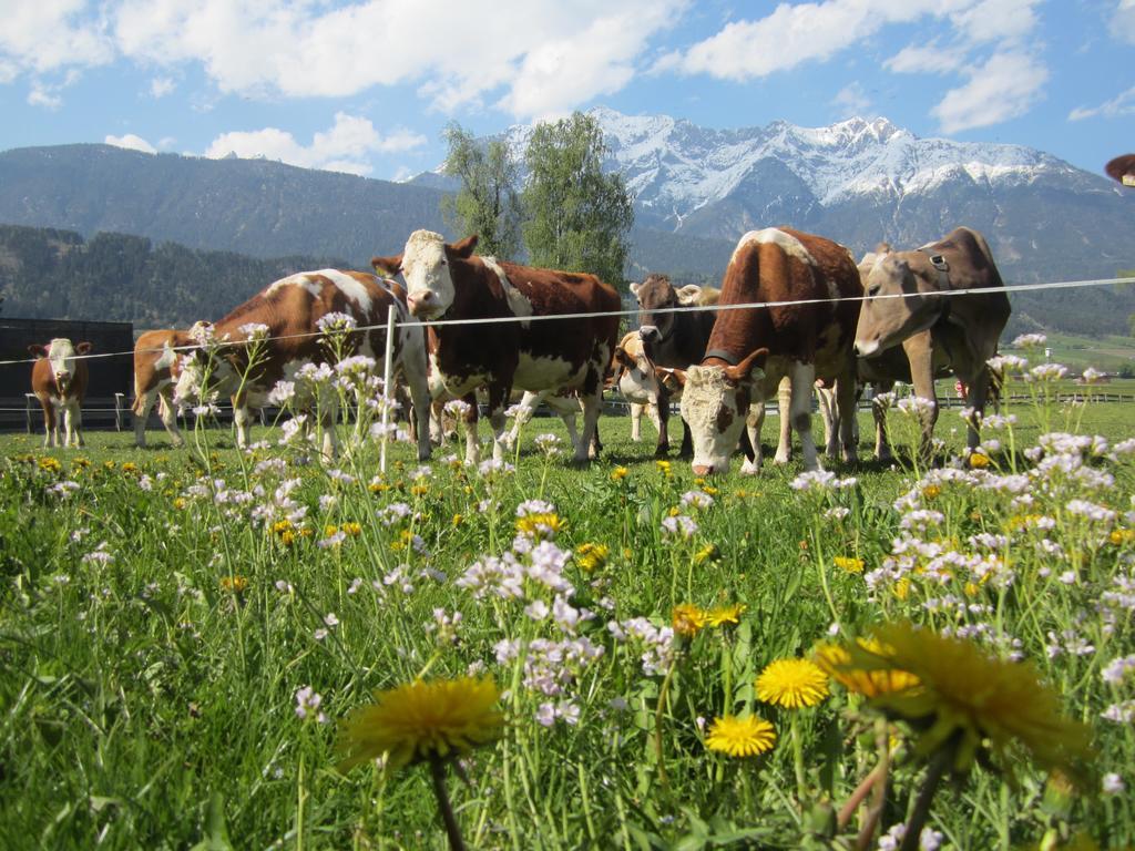 Ferienhaus Mandlhof Weer Екстериор снимка